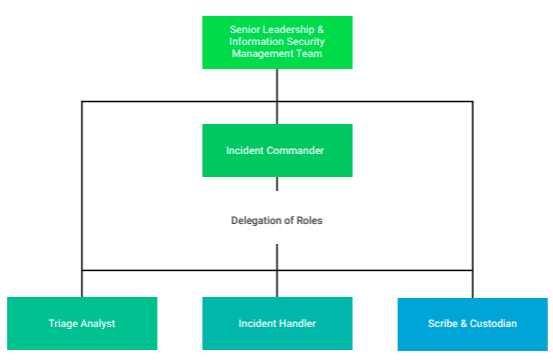 img_irp-structure.png